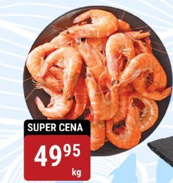 bi1 Krewetki oferta