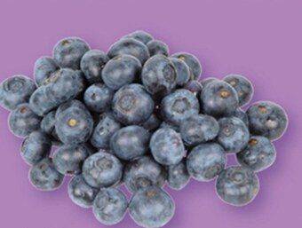 Auchan Borówki oferta