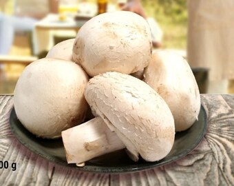 bi1 Pieczarki oferta