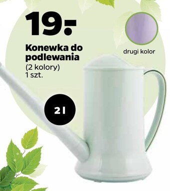 Netto Konewka oferta
