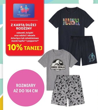 Lidl Piżama chłopięca oferta