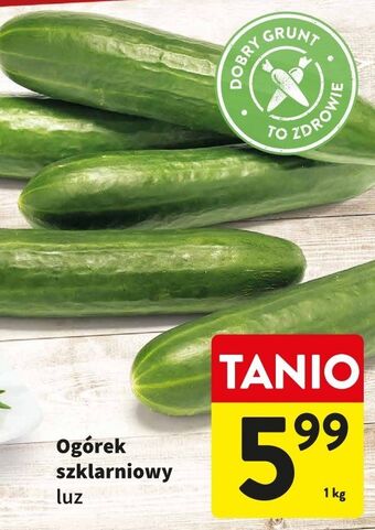 Intermarche Ogórek szklarniowy oferta