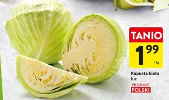 Intermarche Kapusta biała oferta