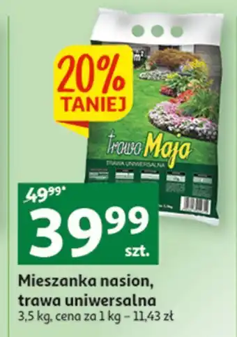 Auchan Trawa uniwersalna maja oferta