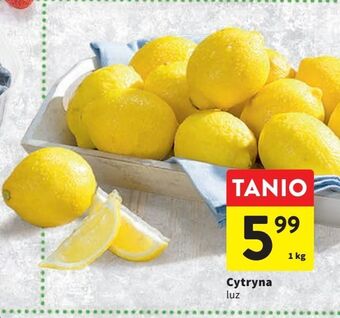 Intermarche Cytryny oferta