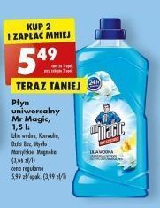 Biedronka Płyn uniwersalny magnolia mr magic oferta