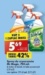 Biedronka Spray do łazienki mr magic oferta