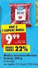 Biedronka Maliny mroźna kraina oferta