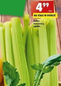 Biedronka Seler naciowy oferta