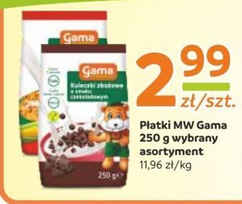Gama Płatki MW Gama 250 g oferta
