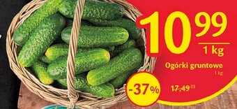Delikatesy Centrum Ogórki gruntowe 1 kg oferta