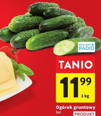 Intermarche Ogórek oferta