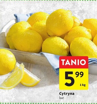 Intermarche Cytryna oferta