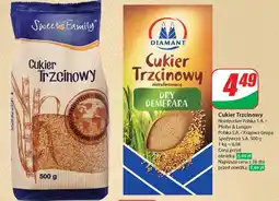 Dino Cukier trzcinowy oferta