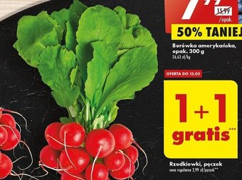 Rzodkiewki, pęczek