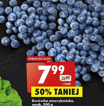 Biedronka Borówka amerykańska opak. 300g oferta