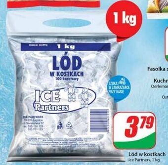 Dino Lód w kostkach ice partners oferta