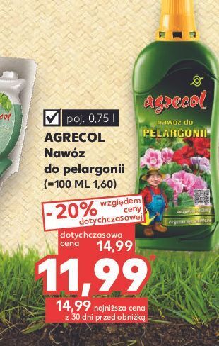 Kaufland Nawóz do pelargonii agrecol oferta