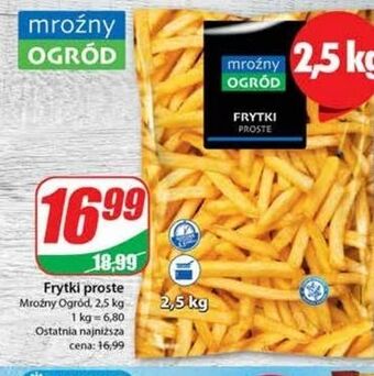Dino Frytki proste mroźny ogród oferta