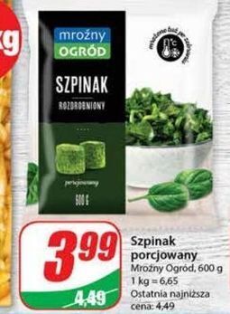 Dino Szpinak porcjowany mroźny ogród oferta