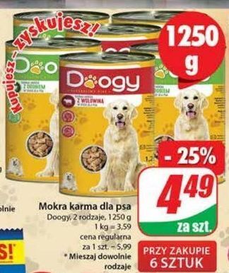 Dino Karma dla psa z wołowiną doogy oferta