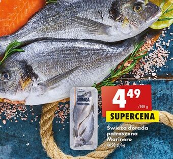 Biedronka Dorada patroszona świeża marinero oferta