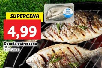 Lidl Dorada patroszona oferta