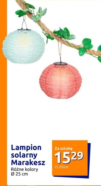 Action Lampion oferta