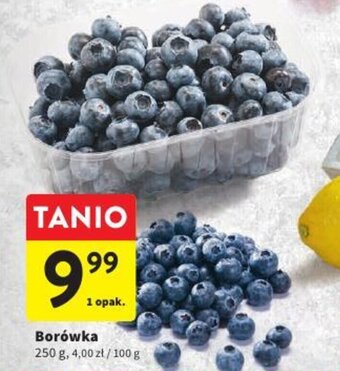 Intermarche Borówka 250g oferta