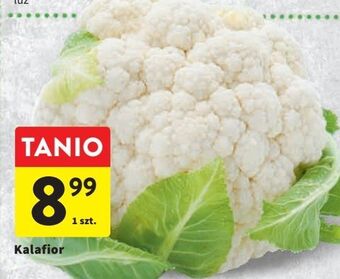 Intermarche Kalafior oferta