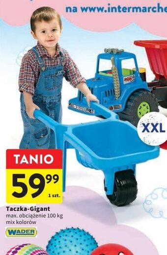 Intermarche Taczka gigant wader oferta
