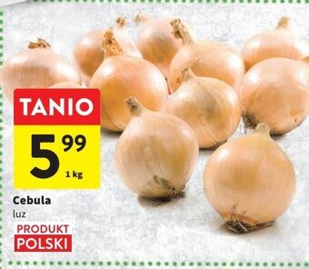 Intermarche Cebula oferta