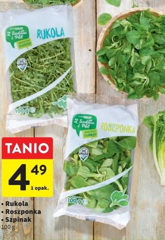 Intermarche Rukola z sadów i pól oferta