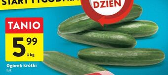 Intermarche Ogórki krótkie oferta