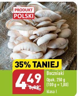 ALDI Boczniaki oferta