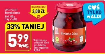 ALDI Borówka leśna sweet valley oferta