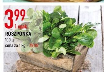 E.Leclerc Roszponka oferta