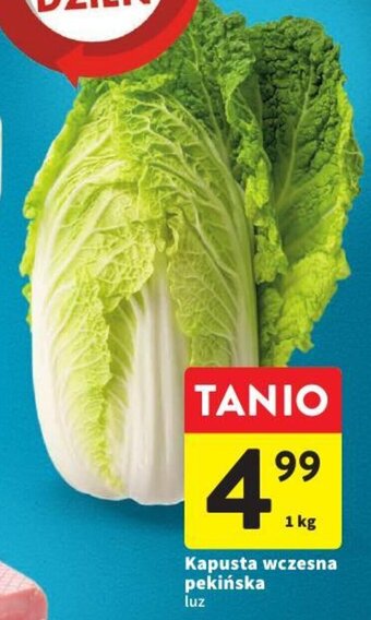 Intermarche Kapusta wczesna pekińska 1kg oferta