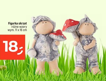 Dealz Skrzat oferta