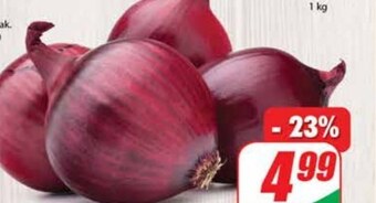 Cebula