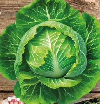 Topaz Kapusta młoda oferta