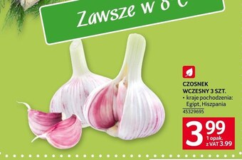 Selgros Czosnek oferta