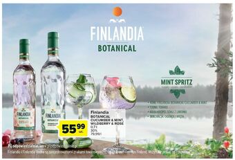 Carrefour Wódka finlandia botanical cucumber & mint oferta