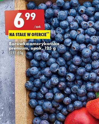 Biedronka Borówka amerykańska oferta