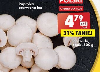 Biedronka Pieczarki oferta