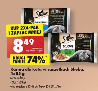 Biedronka Karma dla kota smaki rybne sheba selection in sauce oferta