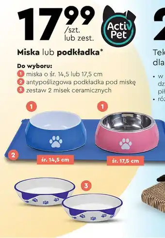 Biedronka Miska 17.5 cm activ pet oferta