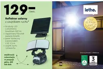 Biedronka Reflektor solarny z czujnikiem ruchu lethe oferta