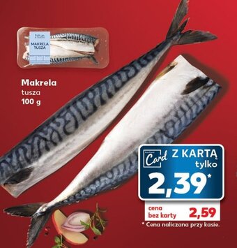 Kaufland Makrela tusza 100g oferta