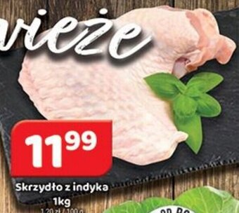 Delfin Skrzydło z indyka 1kg oferta